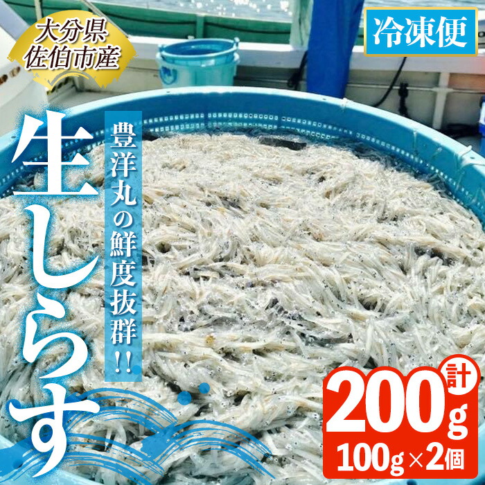 【ふるさと納税】 豊洋丸の鮮度抜群！ 生しらすセット (計200g・100g×2個) 冷凍 しらす しらす丼 丼ぶり 魚 さかな ご飯 ごはん 炒飯 チャーハン パスタ サラダ 国産 大分県 パック 小分け 便利 大分県 佐伯市【HK01】【OITAしらすhoyomaru豊洋丸】