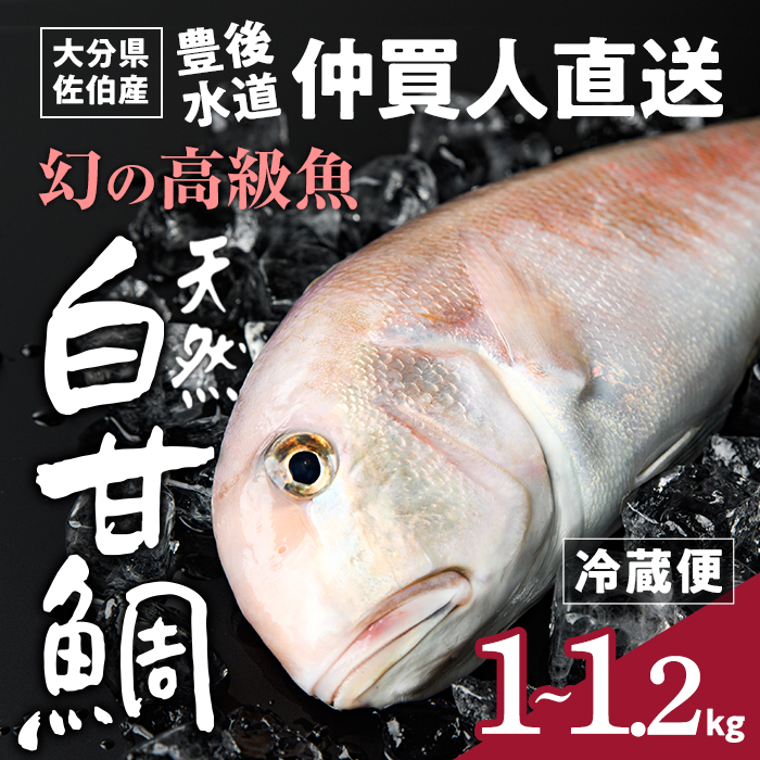楽天市場】最高級アマダイ 甘鯛 生 特大サイズ [豊洲直送] 約1kg