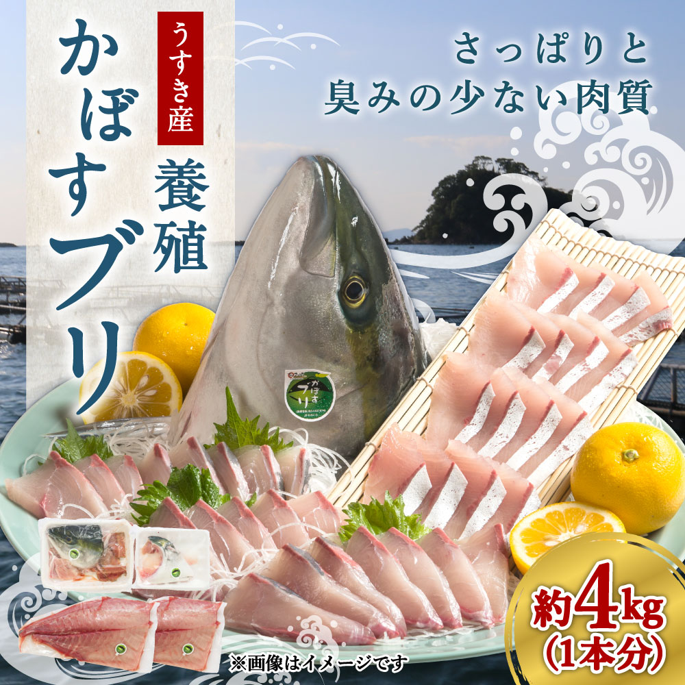 市場 ふるさと納税 先行予約 かぼす 養殖 1本分 約4kg〜4.5kg カマ かぼすブリ ブリ アラ カボス 3枚おろし