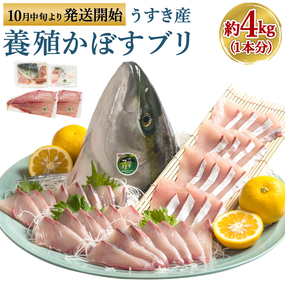 【ふるさと納税】養殖 かぼすブリ 約4kg～4.5kg 1本分 3枚おろし アラ カマ かぼす カボス ブリ ぶり 鰤 魚介類 魚貝類 魚 冷蔵発送 真空パック 旬 臼杵産 九州産 国産 送料無料｜大分県臼杵市