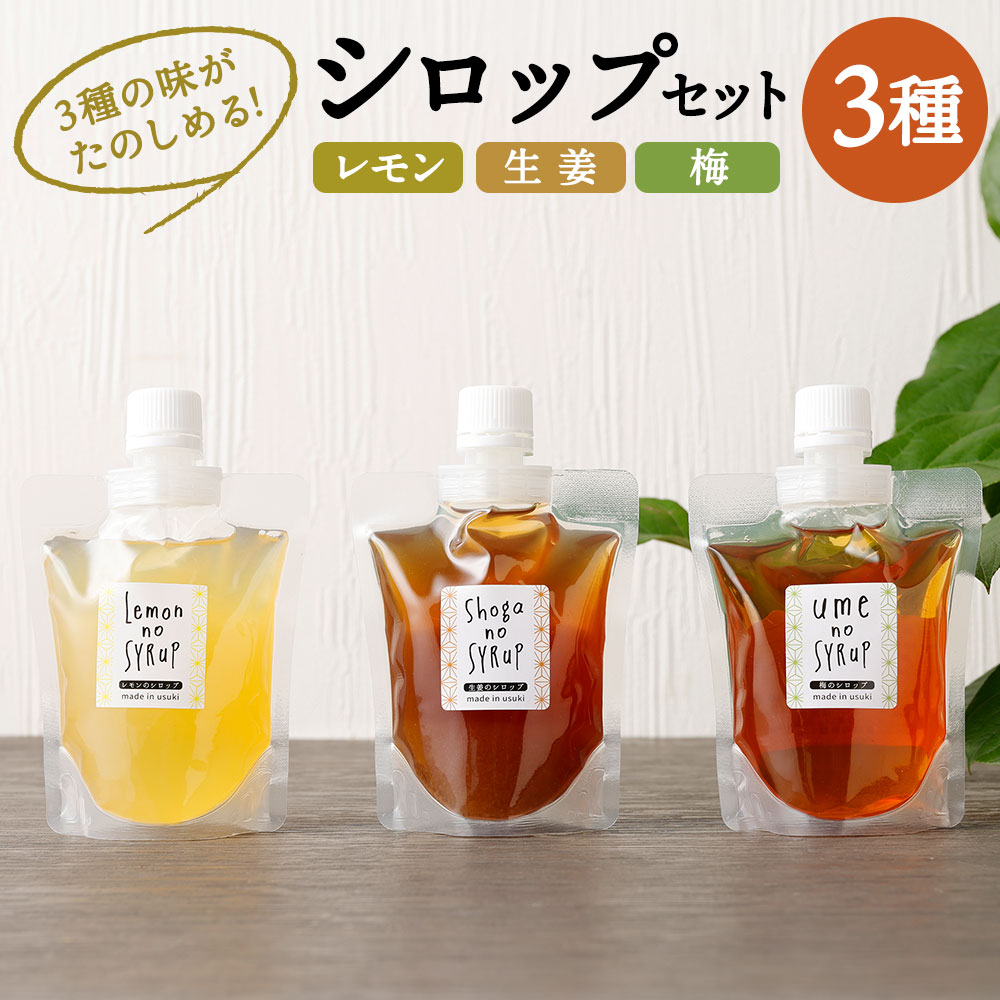 【ふるさと納税】3種の味がたのしめる！ シロップセット 生姜 レモン 梅 3種 200g×各1個 合計3個 シロップ 調味料 国産 送料無料