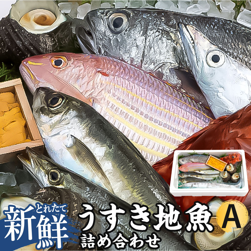 並行輸入品] 豊後水道 うすき 地魚 詰め合わせ Aセット 1箱分ランダム おまかせ 魚 旬 新鮮 魚介類 生魚 海鮮 冷蔵 大分県 臼杵市 送料無料  fucoa.cl