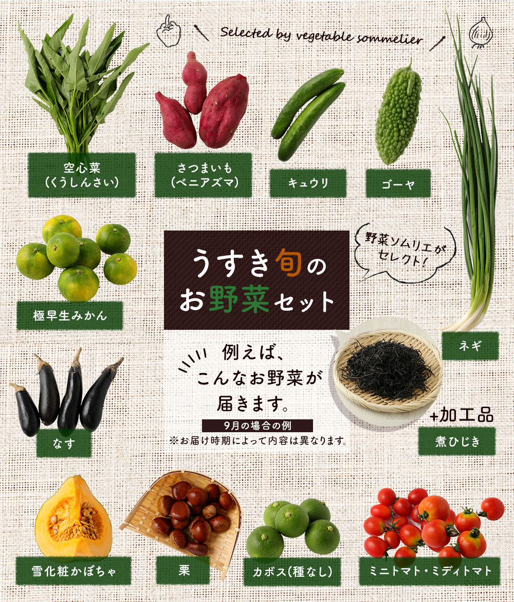 楽天市場 ふるさと納税 野菜ソムリエがセレクト うすき旬のお野菜セット 約10品目前後 加工品1品 レシピ付き ほんまもん農産物 野菜 果物 お任せ 詰め合わせ 九州産 大分県 臼杵市産 送料無料 大分県臼杵市