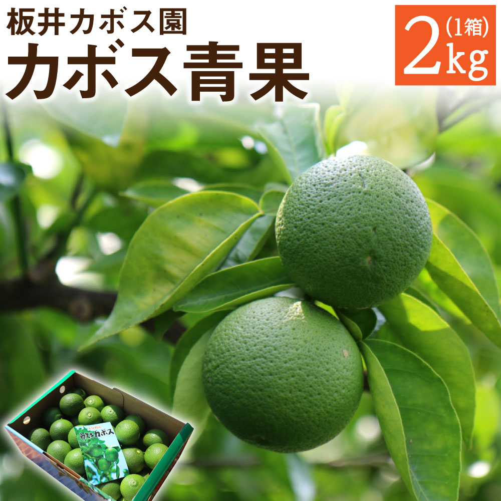 ふるさと納税 先行予約 板井カボス園のうすき産 カボス 2kg かぼす 青果 黄カボス 果物 くだもの フルーツ 果実 国産 九州産 大分県産 送料無料 Antaraglobal Org