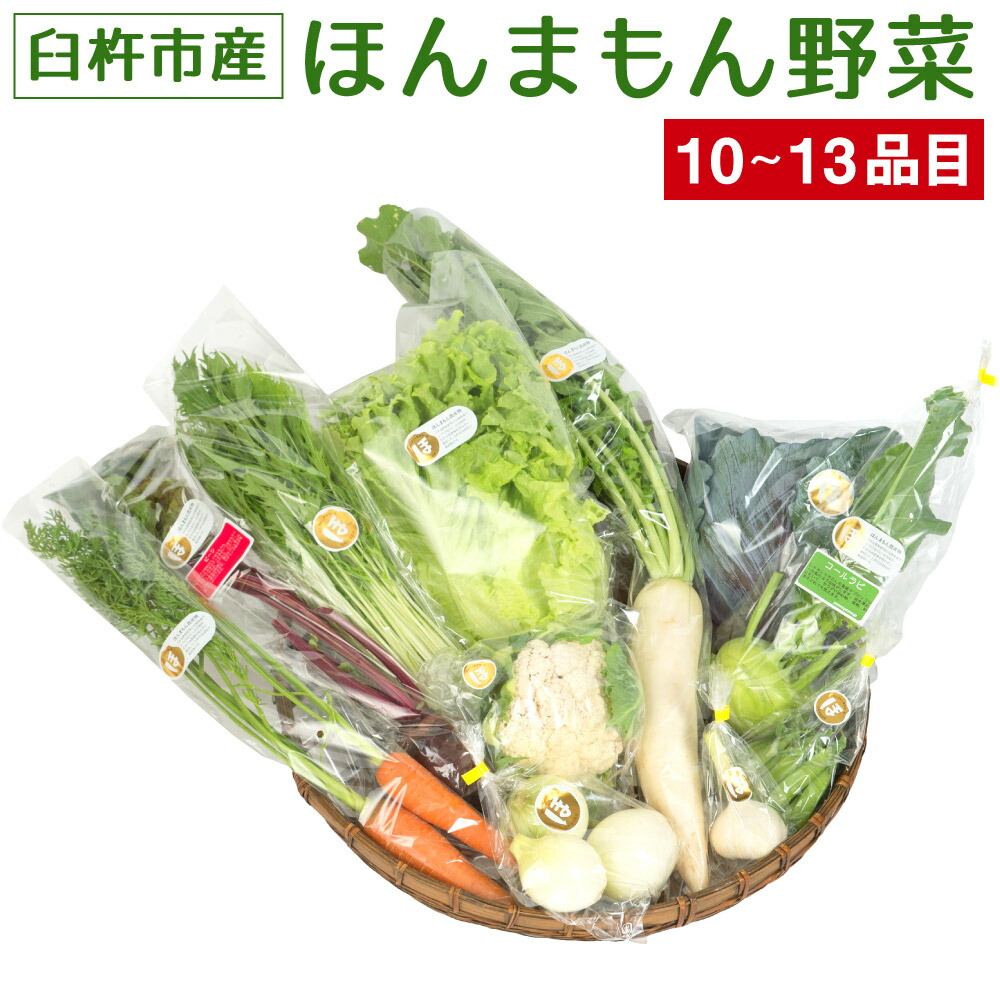 正規激安 楽天市場 ふるさと納税 ほんまもん野菜 約10 13品目 10 13種類 野菜 セット 詰め合わせ 旬 栽培期間中化学合成農薬 化学肥料不使用 臼杵市産 九州産 国産 送料無料 大分県臼杵市 在庫有 Lexusoman Com