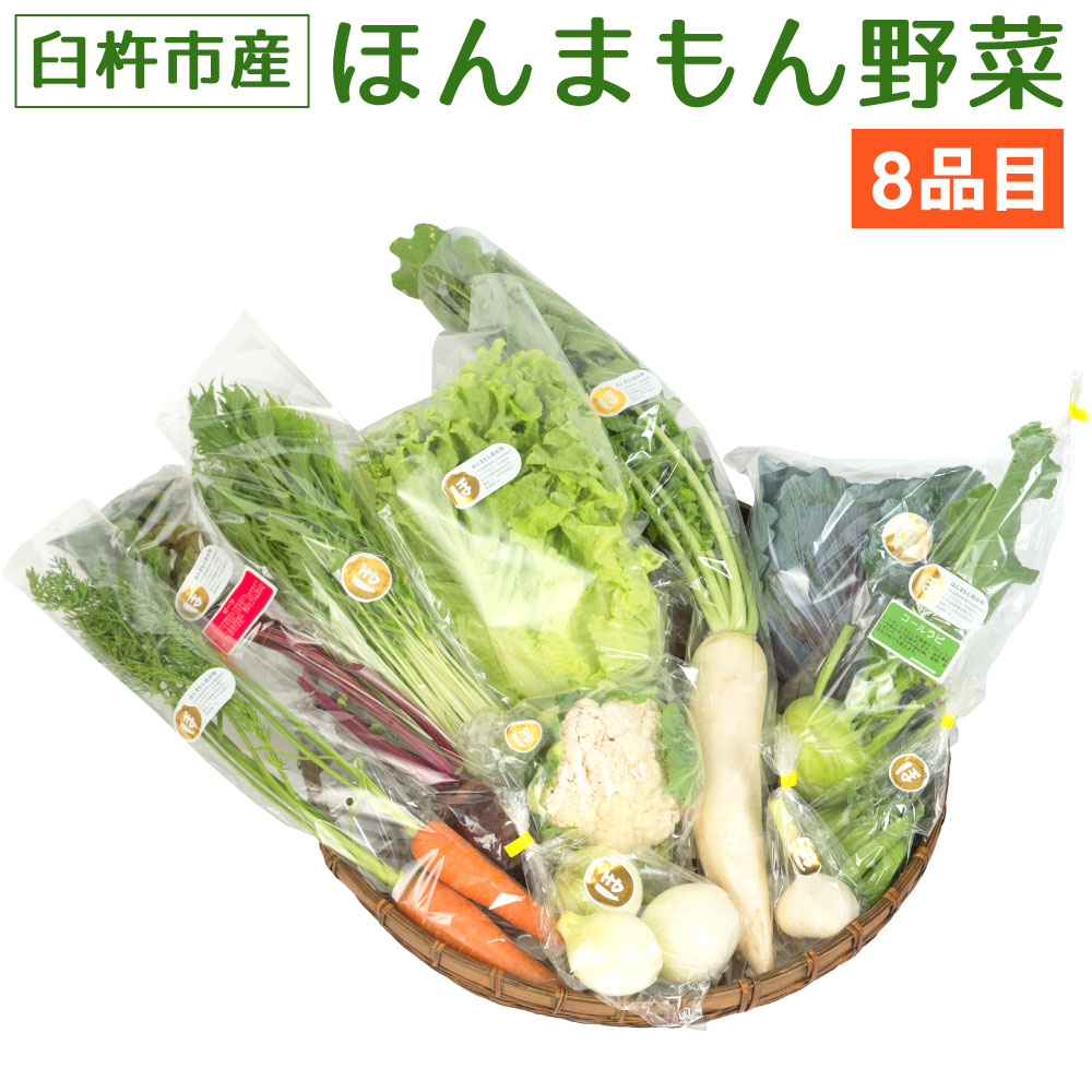 【楽天市場】【ふるさと納税】ほんまもん野菜 約10〜12品目 10