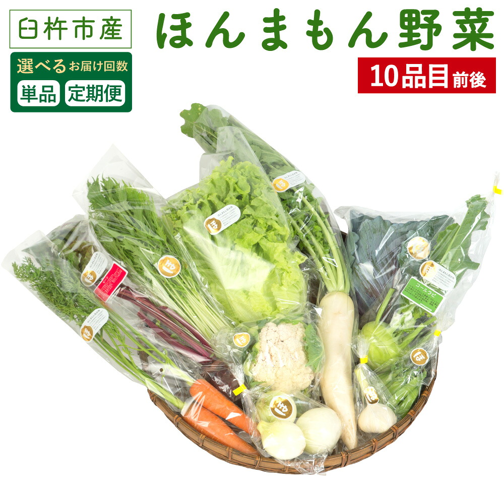 【ふるさと納税】【選べるお届け回数 1回 3回 6回 12回】ほんまもん野菜 10品目前後 単品 または 定期便 野菜 セット 詰め合わせ 旬 栽培期間中化学合成農薬・化学肥料不使用 臼杵市産 九州産 国産 送料無料