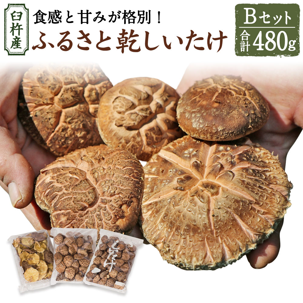 大注目 臼杵産 ふるさと 乾しいたけ Bセット 計480g 3袋 小粒どんこ こうこ どんこ 椎茸 しいたけ シイタケ きのこ 干ししいたけ 原木栽培  産地直送 国産 九州産 大分県 臼杵市 送料無料 fucoa.cl