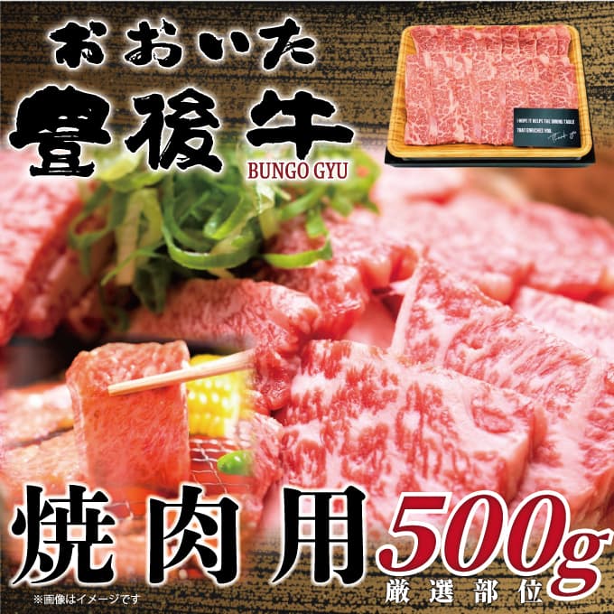 【ふるさと納税】おおいた豊後牛焼肉用 500g | 和牛 豊後牛 国産牛 焼肉 大分県産 九州産 津久見市 国産
