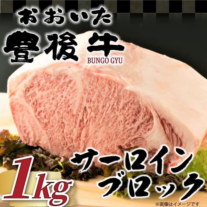 【ふるさと納税】 厳選部位 おおいた豊後牛サーロインブロック 1kg | 和牛 豊後牛 国産牛 ステーキ 大分県産 九州産 津久見市 国産｜大分県津久見市 20,160円