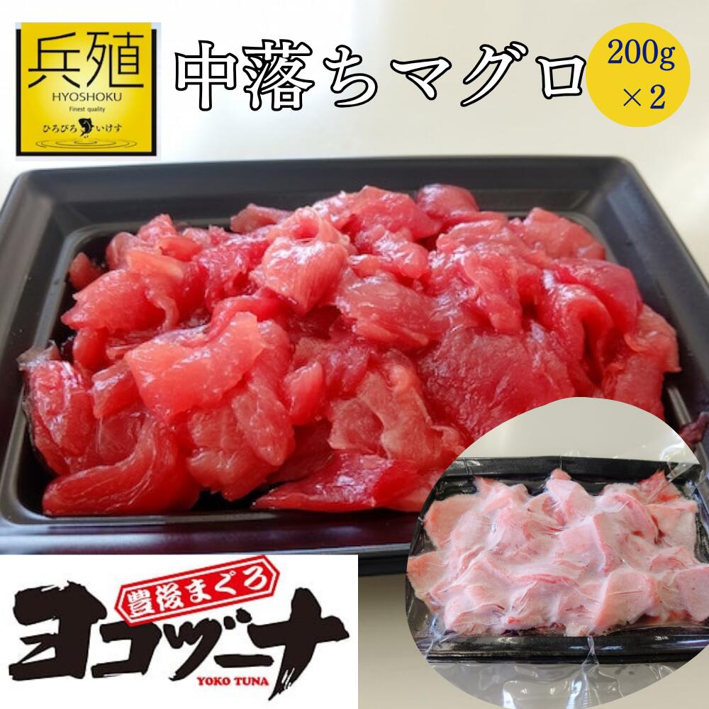 【ふるさと納税】豊後まぐろ ヨコヅーナ 中落ち 200g&times;2 本鮪 本マグロ 海鮮丼 希少部位 刺し身 盛り合わせ 冷凍 新鮮 漬け丼 大分県産 九州産 津久見市 国産 送料無料｜大分県津久見市 11,550円