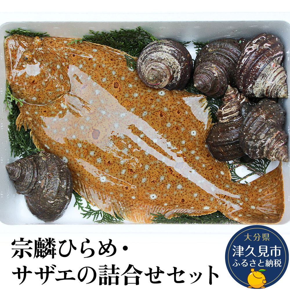 【ふるさと納税】宗麟ひらめ・サザエの詰合せセット ヒラメ 平目 鮃 刺身 生魚 新鮮 大分県産 九州産 津久見市 国産 送料無料