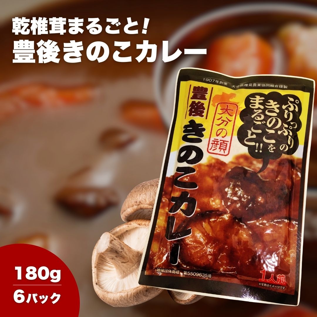 【ふるさと納税】豊後きのこカレー×6 | 椎茸 レトルト 若芽どんこ 大分県 津久見市 国産 送料無料|大分県津久見市