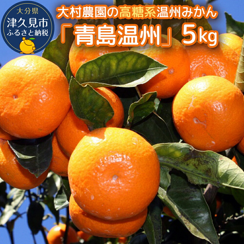 みかんです。 Shipping of the ultra-early-ripening Unshu mandarin 