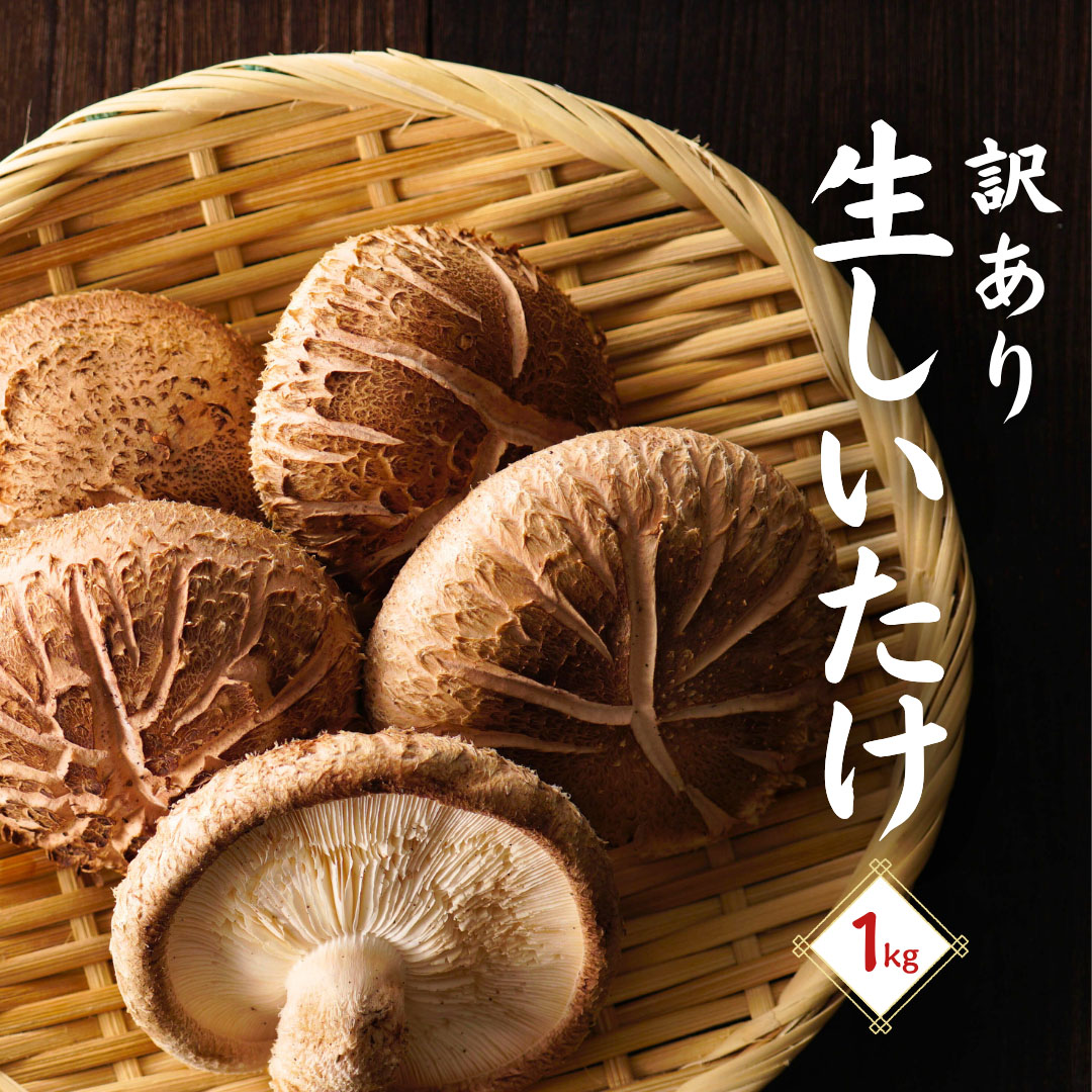 【ふるさと納税】 訳あり 大分県産 しいたけ 津久見で育てた肉厚生しいたけ 1kg　　津久見市 椎茸 菌床しいたけ シイタケ きのこ 冷蔵 大分県 九州 国産 産地直送 家庭用 送料無料 【創造工房】｜大分県津久見市
