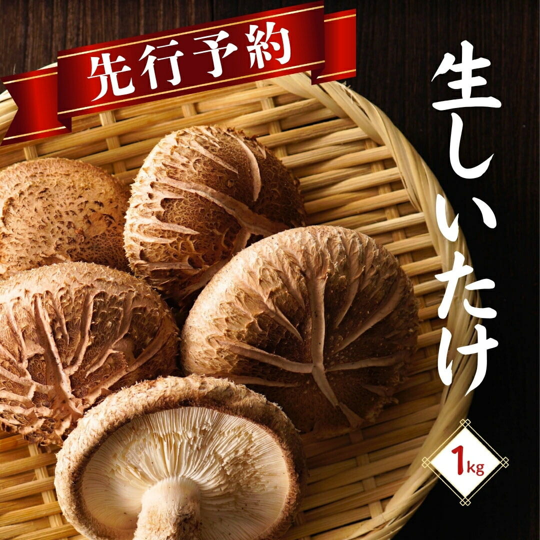 【ふるさと納税】 先行予約 大分県産 しいたけ 津久見で育てた肉厚生しいたけ 1kg 津久見市 椎茸 菌床しいたけ シイタケ きのこ 冷蔵 大分県 九州 国産 産地直送 送料無料 【創造工房】|大分県津久見市