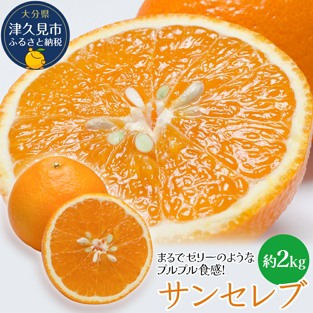 【ふるさと納税】まるでゼリーのようなプルプル食感!サンセレブ約2kg(化粧箱) 大分県産 九州産 津久見市 国産 送料無料