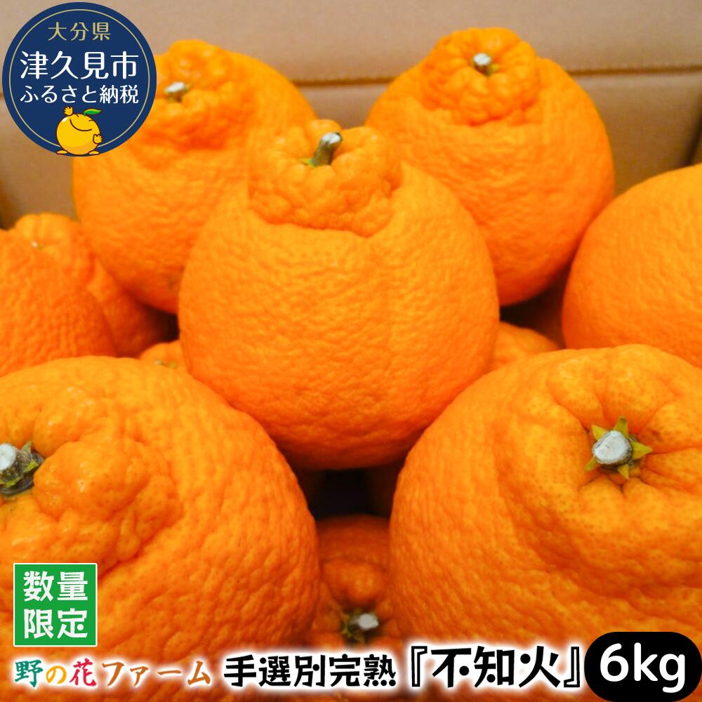 【ふるさと納税】【先行予約】野の花ファーム 不知火 6kg 手選別完熟 みかん ミカン オレンジ フルーツ 柑橘類 大分県産 九州産 津久見市 国産 送料無料