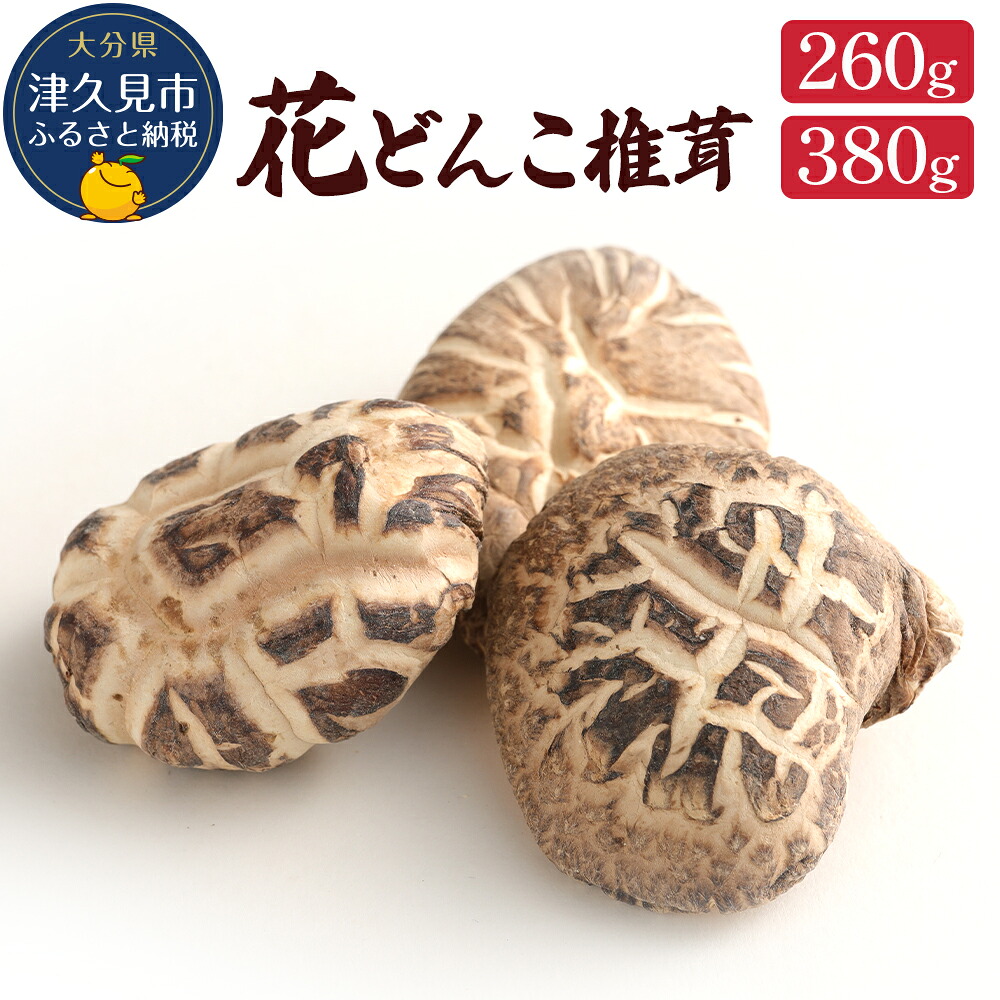 【ふるさと納税】最高級 大分県産 花どんこ椎茸 260g / 380g | しいたけ シイタケ 九州 津久見市 国産 送料無料