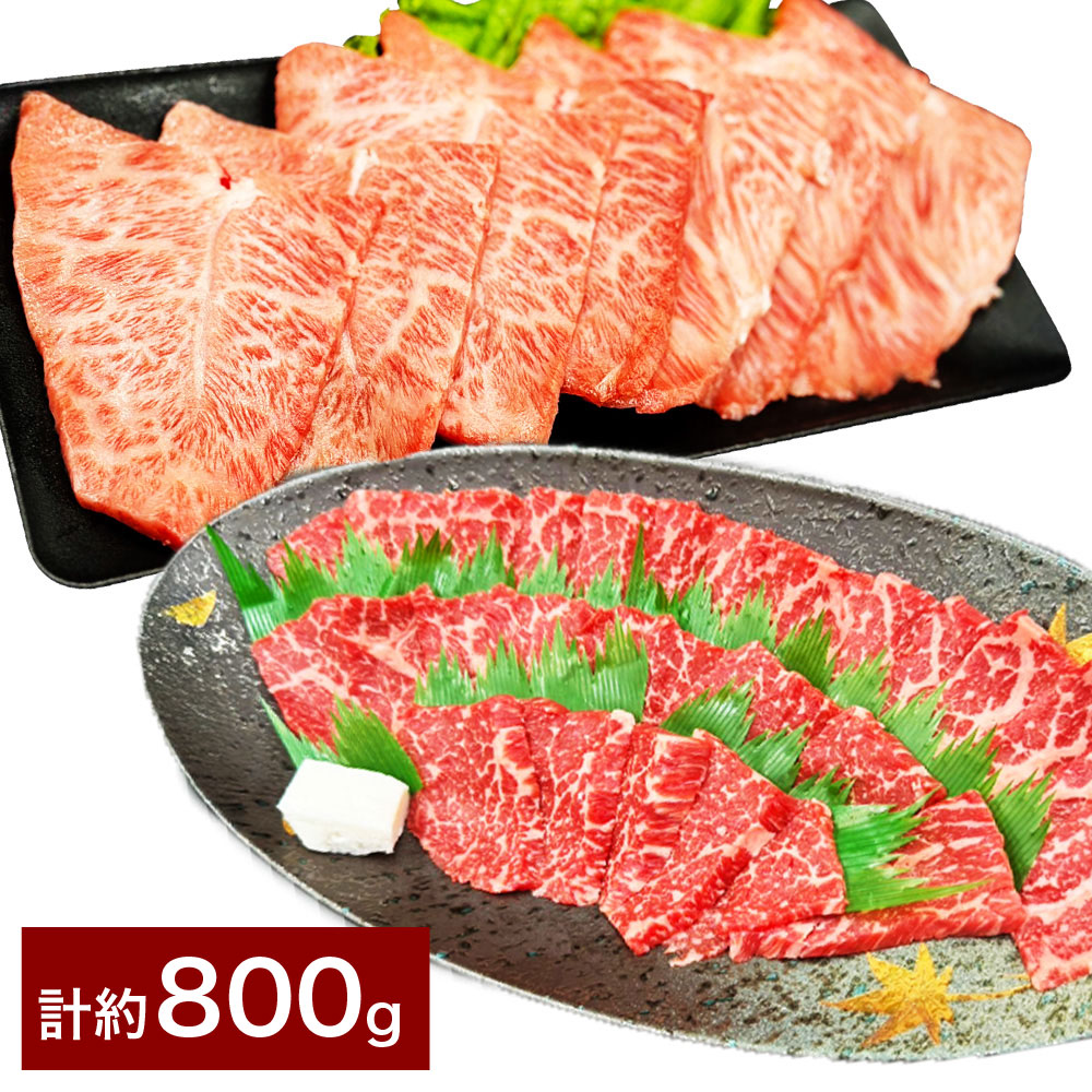 【ふるさと納税】【赤身VSミスジ食べ比べ！】おおいた和牛 赤身焼肉・ミスジ焼肉 セット 計約800g 各約400g 和牛 牛肉 お肉 モモ ウデ みすじ 希少部位 焼き肉 冷凍 大分県産 国産 大分県 竹田市 送料無料｜大分県竹田市