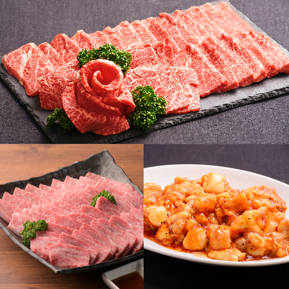 【ふるさと納税】おおいた和牛 食べ比べセット 約600g ぷりぷり国産牛ホルモン 約200g×3袋 合計約1.2kg 焼き肉 牛肉 和牛 国産 肉 ホルモン 牛小腸 国産牛 カルビ ロース 上カルビ 上ロース 焼肉 盛り合わせ 九州 冷凍 大分県産 竹田市 送料無料|大分県竹田市