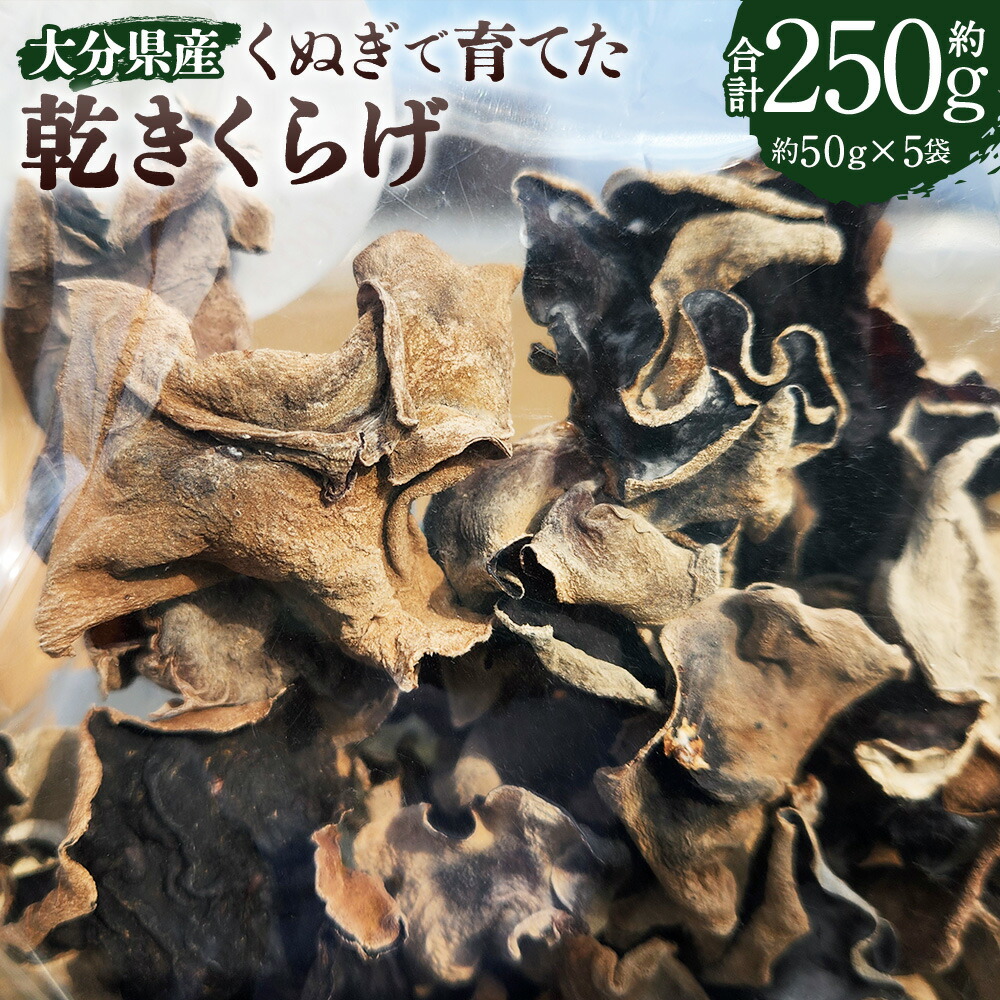 【ふるさと納税】大分県産 くぬぎで育てた乾きくらげ 計約250g（約50g×5袋） きくらげ キクラゲ 木耳 きのこ キノコ 茸 低カロリー 食物繊維 国産 九州 大分県 竹田市 送料無料