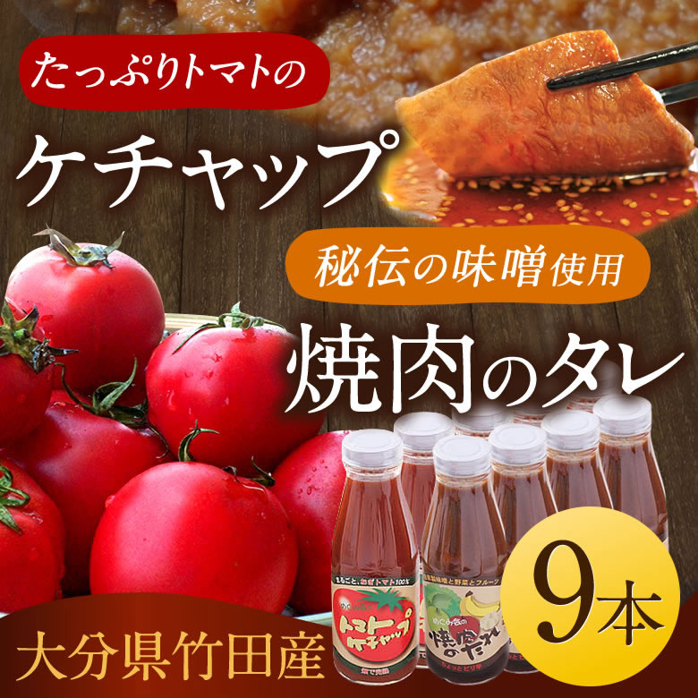 直輸入品激安 トマトケチャップ 12本セット 385g×12本 完熟トマト100% トマト ケチャップ 12本 ご当地 調味料 手作り ソース パスタ  竹田市 大分県 めぐみ会 エムナイン 送料無料 fucoa.cl