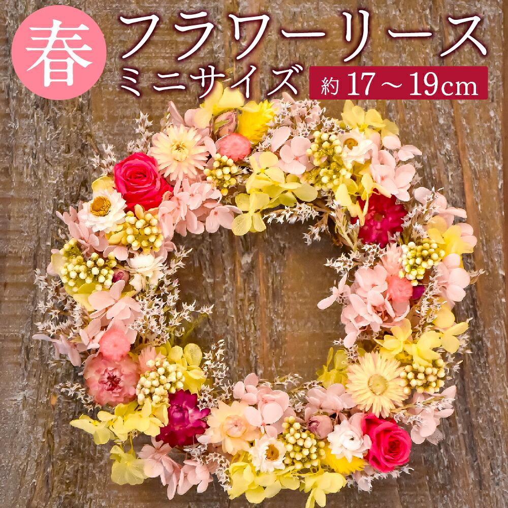 【ふるさと納税】 【素っ気ない御花】 春の御花借り受ける ミニサイズ 約17～19糎 素っ気ない御花 プリザーブドフワラー 借り受ける 花 室内装飾 差し上げ物 差し上げ物 手作り 御手々御手伝いさん 差し上げ物 御祭り 内祝い 貨物輸送無料