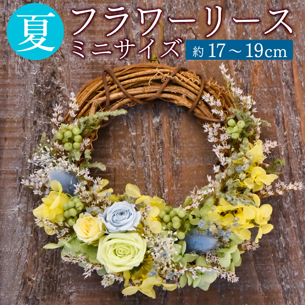 【ふるさと納税】 【素っ気ない御花】 夏の御花借り受ける ミニサイズ 約17～19糎 素っ気ない御花 プリザーブドフワラー 借り受ける 花 室内装飾 差し上げ物 差し上げ物 手作り 御手々御手伝いさん 差し上げ物 御祭り 内祝い 貨物輸送無料