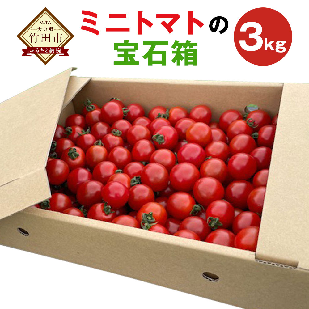 【ふるさと納税】まごころミニトマトの宝石箱 3kg 150玉前後 ミニトマト とまと 野菜 大分県竹田市荻町産 九州産 国産 新鮮 送料無料【2025年7月上旬から11月下旬まで発送予定】