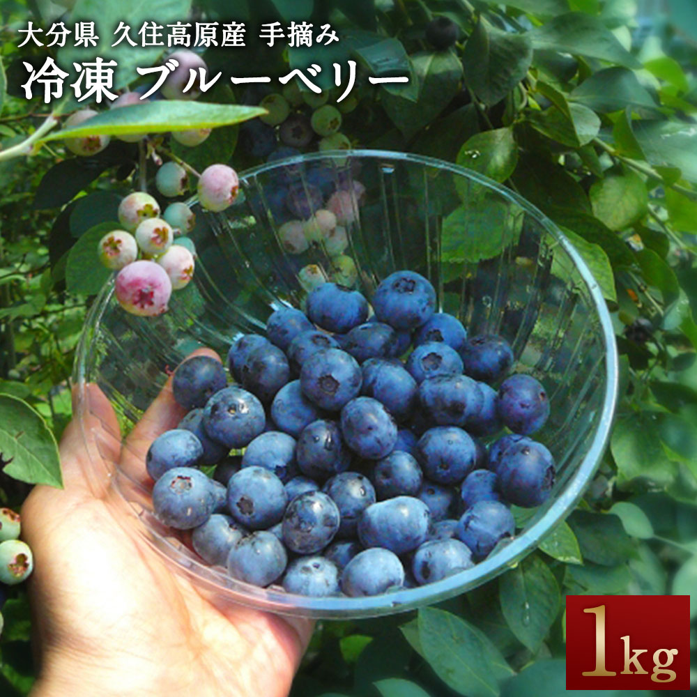 早割クーポン ふるさと納税 冷凍 ブルーベリー 1kg 無農薬 手摘み 九州 大分県 久住高原産 新鮮 フルーツ 果物 送料無料 55 以上節約 Www Lexusoman Com