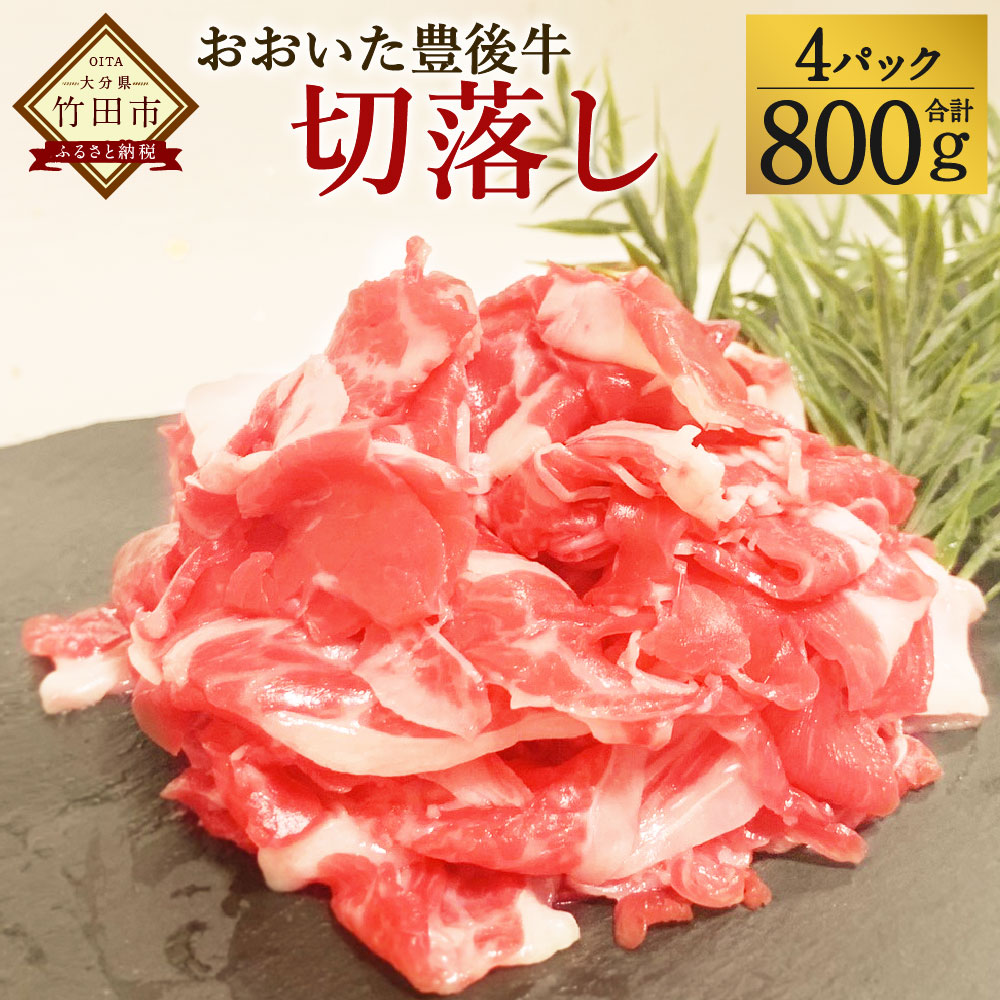 【ふるさと納税】 おおいた豊後牛 切落し 800g 小分けパック 小分け (200g×4パック) お肉 牛肉 和牛 切り落とし 冷凍 九州産 国産 大分県 竹田市 送料無料