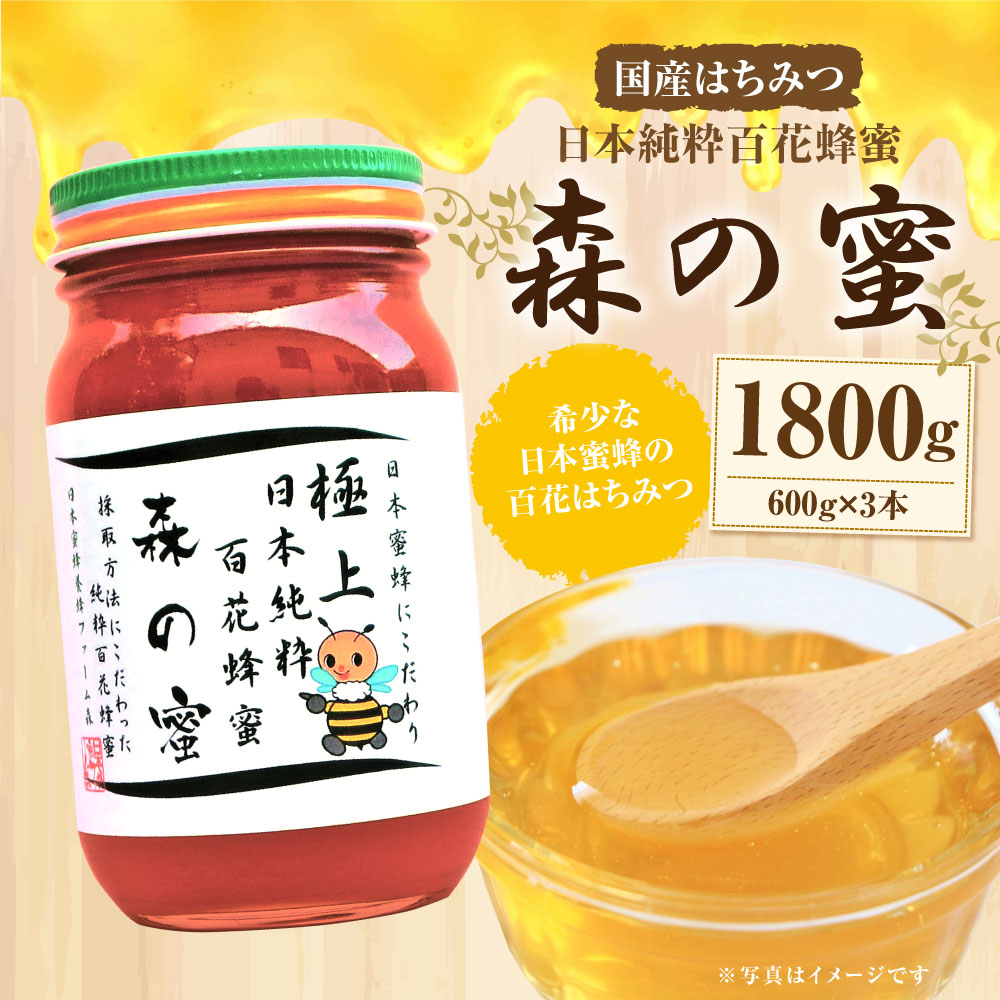 日本ミツバチ完熟蜂蜜(秋蜜)600g×2+40g×2 日本ミツバチ濃厚