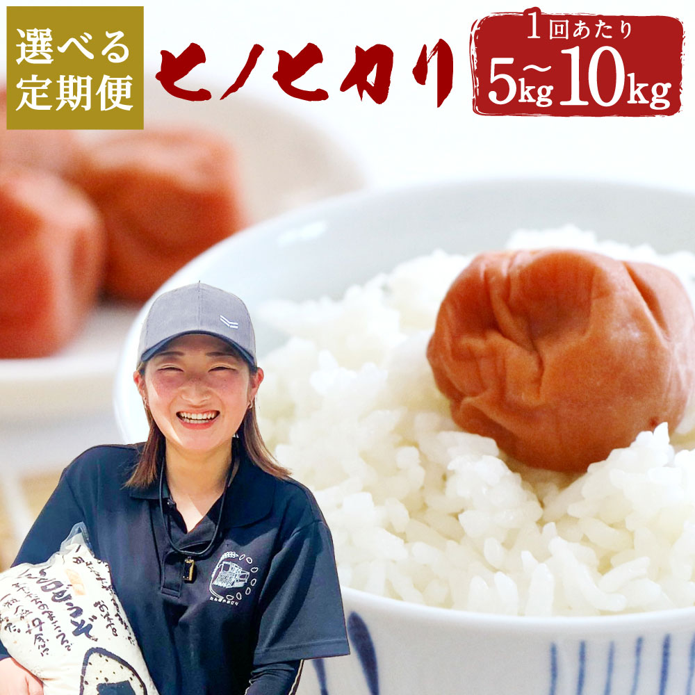 【ふるさと納税】【選べる定期便】大分県産 ヒノヒカリ 3ヶ月定期便 (5kg 合計15kg / 10kg 合計30kg) 6ヶ月定期便 (5kg 合計30kg / 10kg 合計60kg) ｜ ひのひかり 精米 米 お米 こめ ライス ご飯 ごはん 白ご飯 常温 大分 竹田市 送料無料