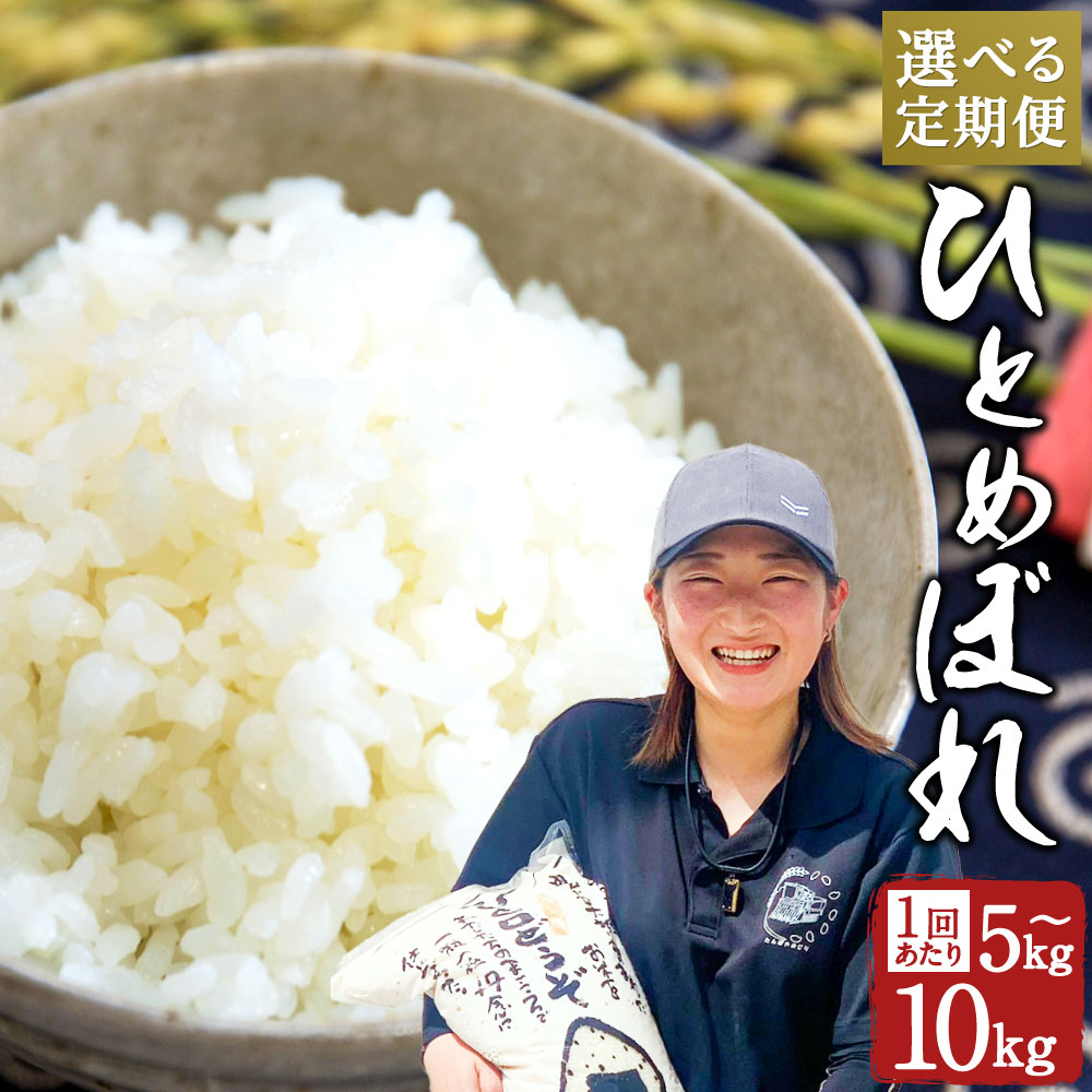 【ふるさと納税】【選べる定期便】 ひとめぼれ 3ヶ月定期便 (5kg 合計15kg / 10kg 合計30kg) 6ヶ月定期便 (5kg 合計30kg / 10kg 合計60kg)｜精米 米 お米 こめ ライス ご飯 ごはん 白ご飯 常温 大分 竹田市 送料無料