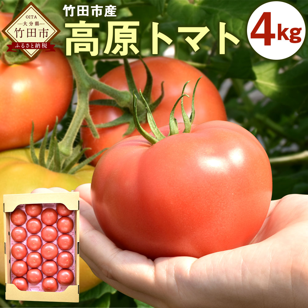 【ふるさと納税】竹田市産 高原トマト 4kg 約16～24個 トマト とまと 野菜 竹田市 大分県 送料無料【2025年5月下旬-2026年1月上旬発送予定】