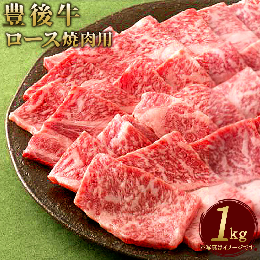 【ふるさと納税】数量限定 大分県竹田産 おおいた和牛 ロース 焼肉用 1kg 和牛日本一! 牛肉 和牛 九州産 国産 冷凍 送料無料|大分県竹田市