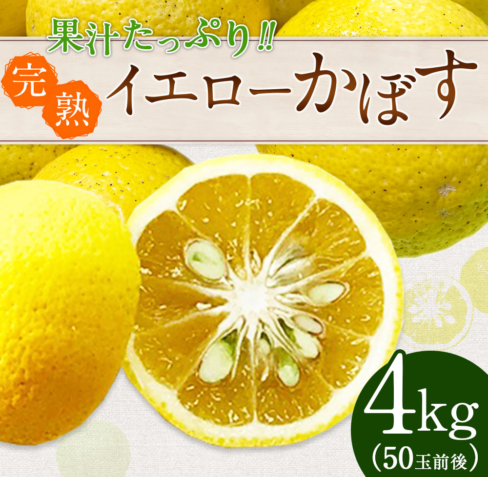 予約 柑橘 4kg 50玉前後 イエローかぼす 果汁たっぷり ふるさと納税 カボス イエローかぼす 竹田市 かぼす くだもの 大分 料理 柑橘 送料無料 完熟 フルーツ