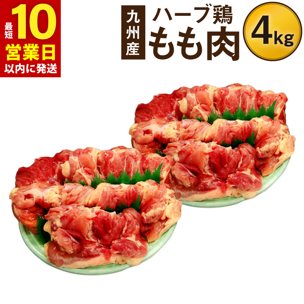 【ふるさと納税】【10営業日以内発送】ハーブ鶏もも肉4kgセット 2kg×2パック 業務用 大分県産 鶏肉 とりにく とりもも 鶏肉もも 冷蔵 国産 鶏もも肉 鶏モモ肉 鶏モモ 鳥肉 もも肉 大容量 お肉セット ふるさと納税大分県竹田市 チキン 生肉 チキンステーキ 出荷日4日以上冷凍