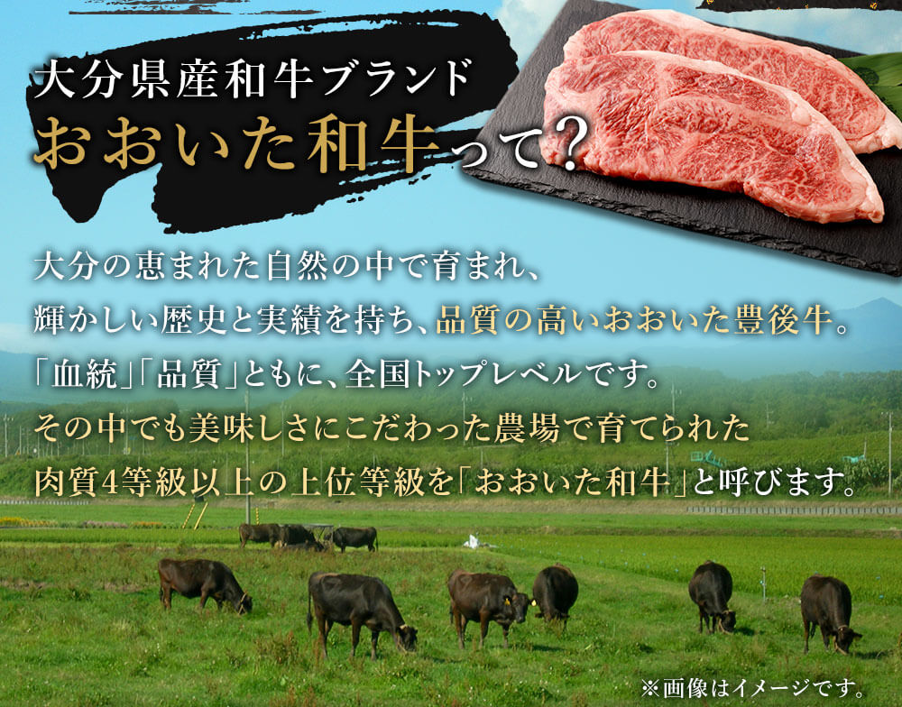 市場 ふるさと納税 合計600g 大分県産 おおいた和牛 サーロインステーキ 豊後牛 200g×3枚 4等級以上