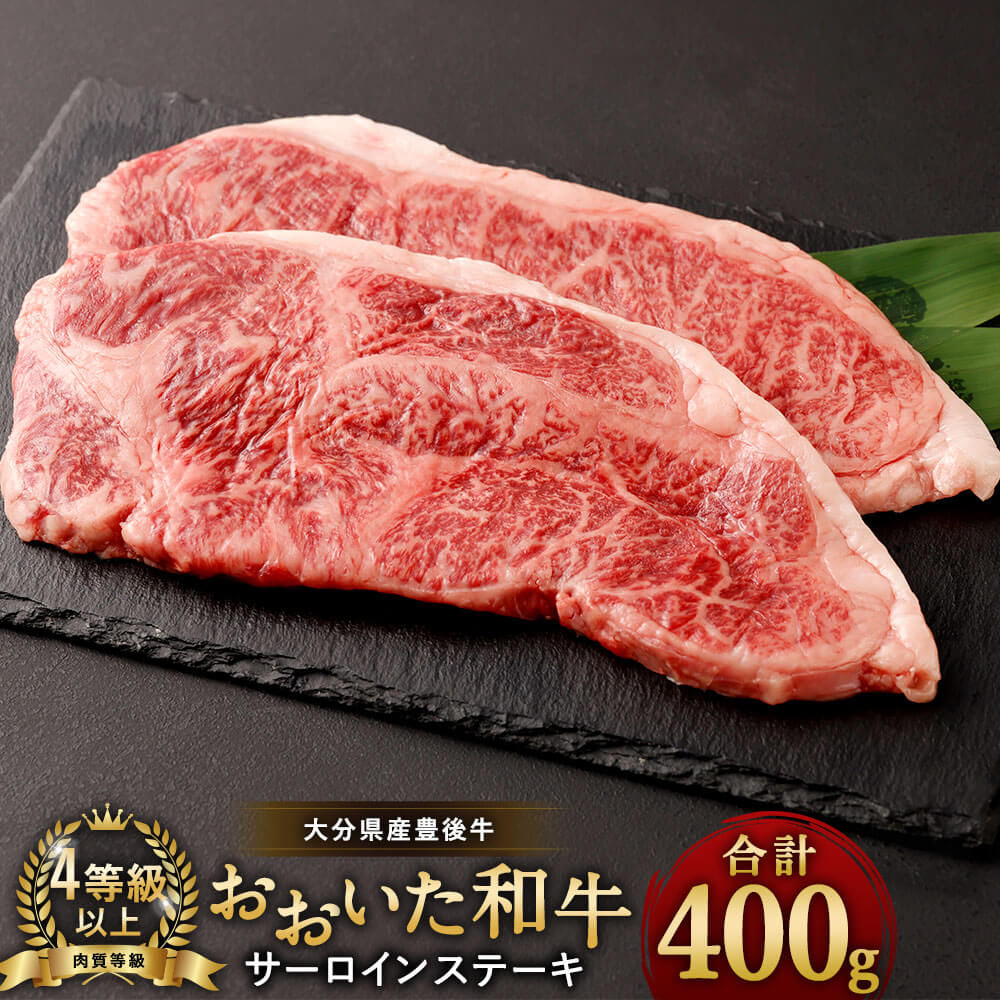 大好き ふるさと納税 約150g×3枚 竹田市 おおいた豊後牛ヒレステーキ 牛肉