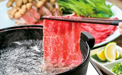 【ふるさと納税】しゃぶしゃぶ 食べ比べセット (合計500g) 豊後・米仕上牛 国産 赤身 九州 牛肉 冷凍 ふるさと納税 送料無料 【豊後高田市限定】 【スピード発送】｜大分県豊後高田市