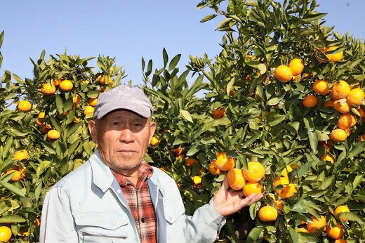 楽天市場 ふるさと納税 先行予約 土井さんのみかん10kg 大分県豊後高田市