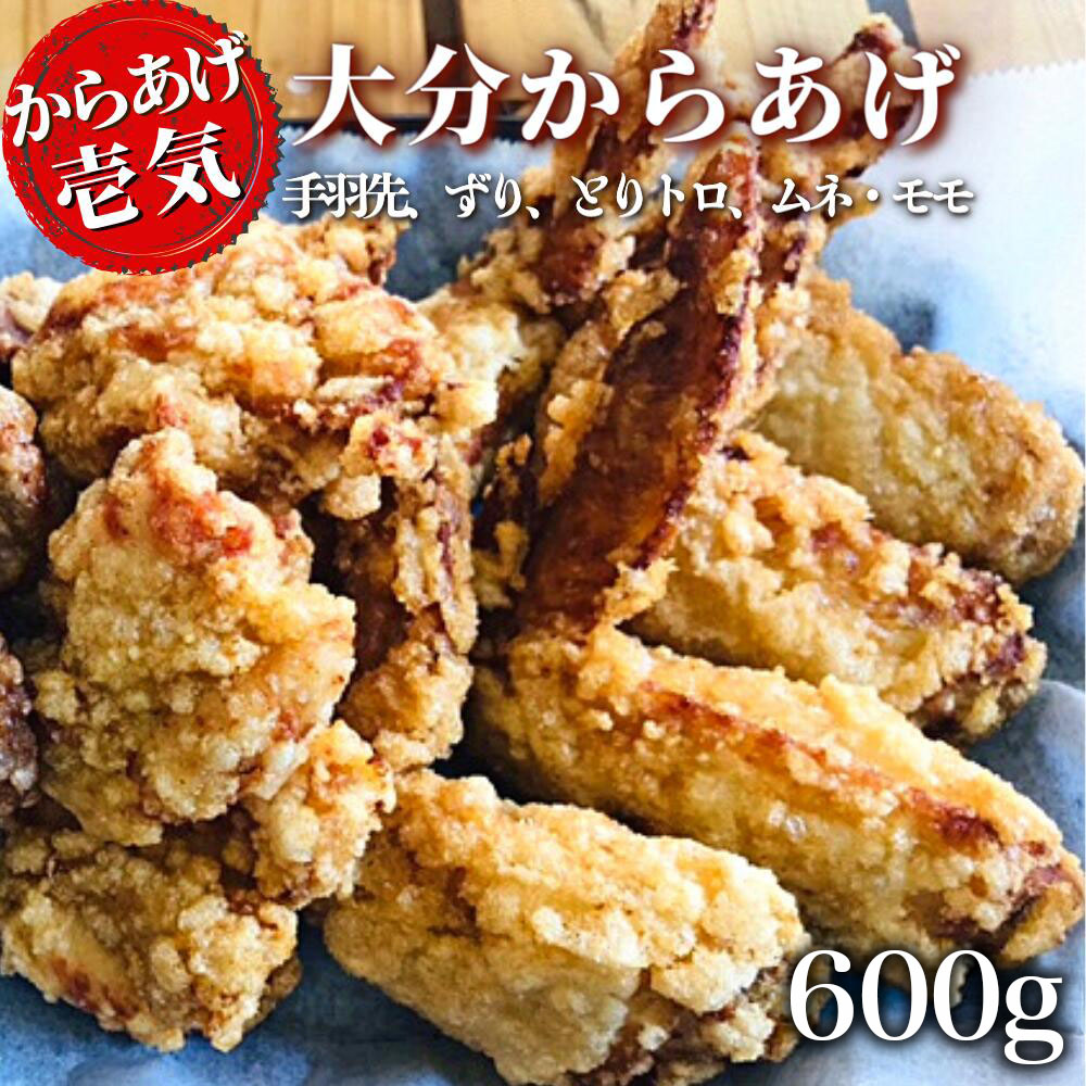 【ふるさと納税】【からあげ壱気】 大分 からあげ 600g モモ とりトロ ムネ ずり 手羽先 九州 グルメ 唐揚げ から揚げ