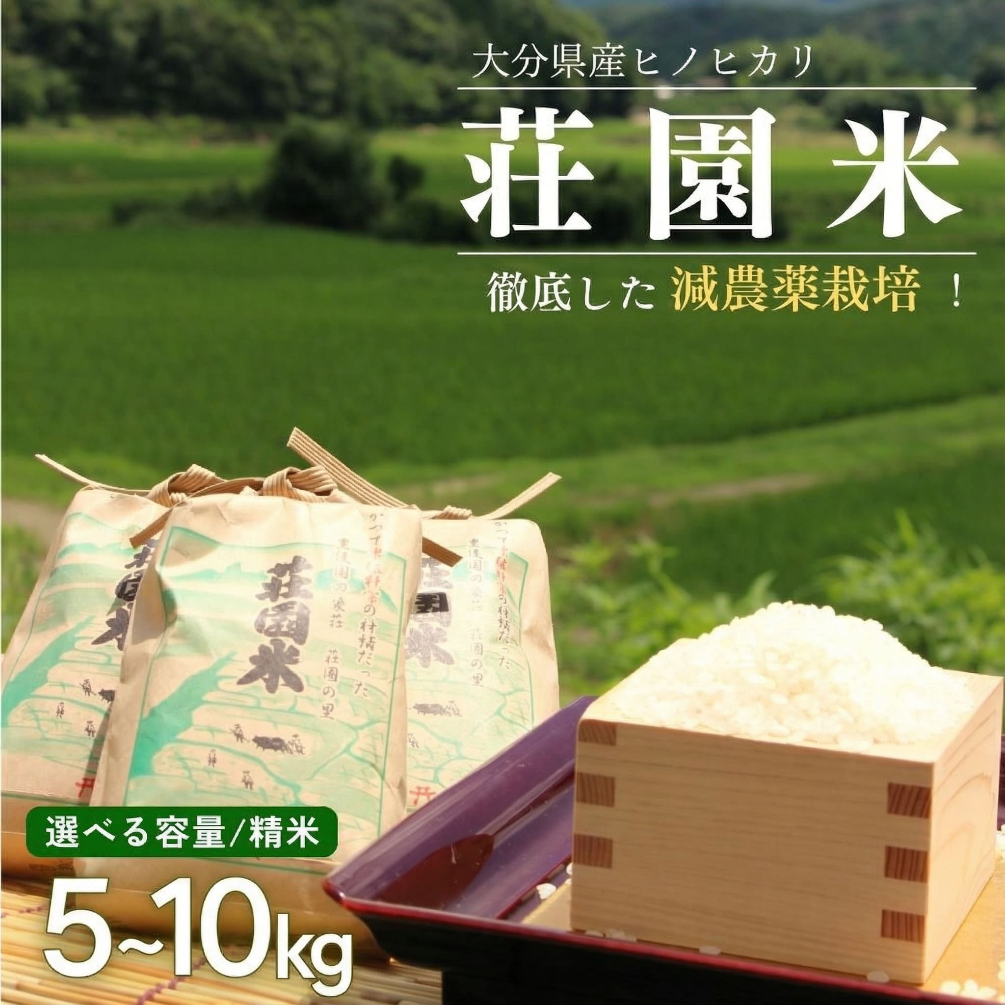 【ふるさと納税】「精米」 ヒノヒカリ 荘園米 5kg 10kg(1袋) 10kg(5kg×2袋) 選べる 容量 5~10kg お米 こめ お米 ひのひかり|大分県豊後高田市
