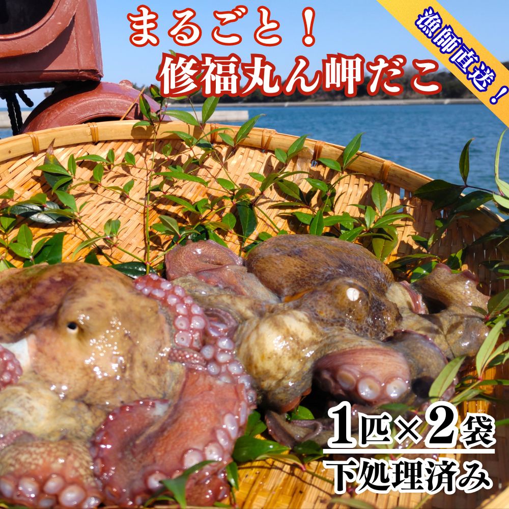 【ふるさと納税】修福丸ん岬だこ まるごと  2匹 真だこ 2杯 約 1.2kg 下処理済み 産地直送 真空 パック 送料無料