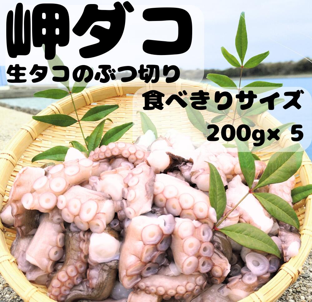 【ふるさと納税】タコ 生タコ マダコ カット ぶつ切り 食べきりサイズ （200g&times;5袋） 修福丸 岬だこ 真空パック ふるさと納税 送料無料 お取り寄せ 産地直送 真空 パック 小分け 海の幸 国産 海産物 魚介｜大分県豊後高田市