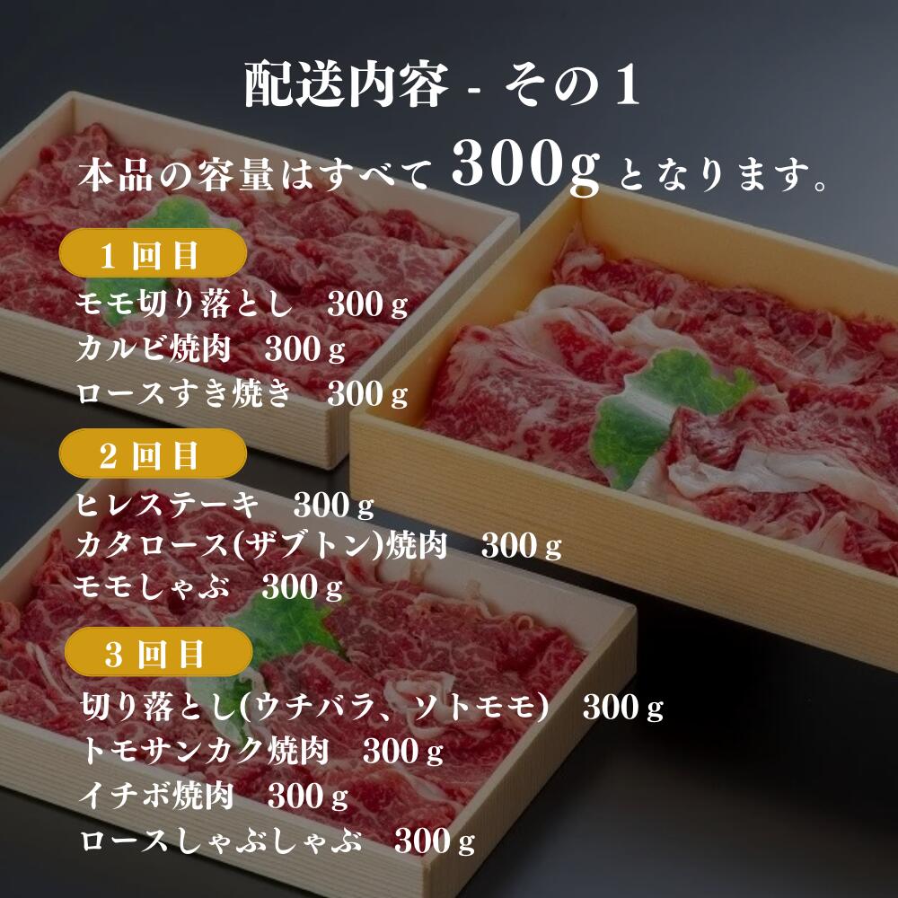 想像を超えての 肉 ざんまい 定期便 全6回 6か月 牛肉 焼肉 ステーキ スライス 鶏肉 ウインナー ハンバーグ fucoa.cl