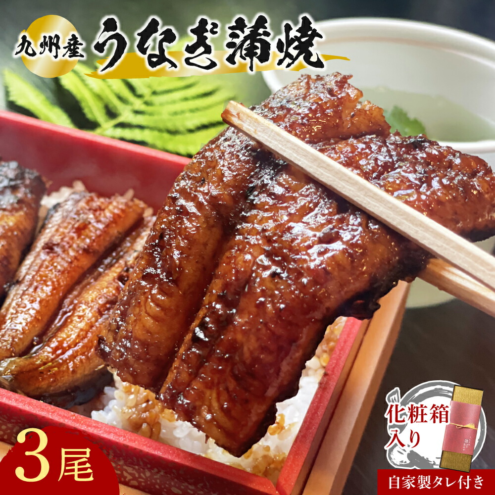 【ふるさと納税】志おや 九州産 うなぎ 蒲焼 3本 タレ 付 鰻 ウナギ 国産 蒲焼き かばやき