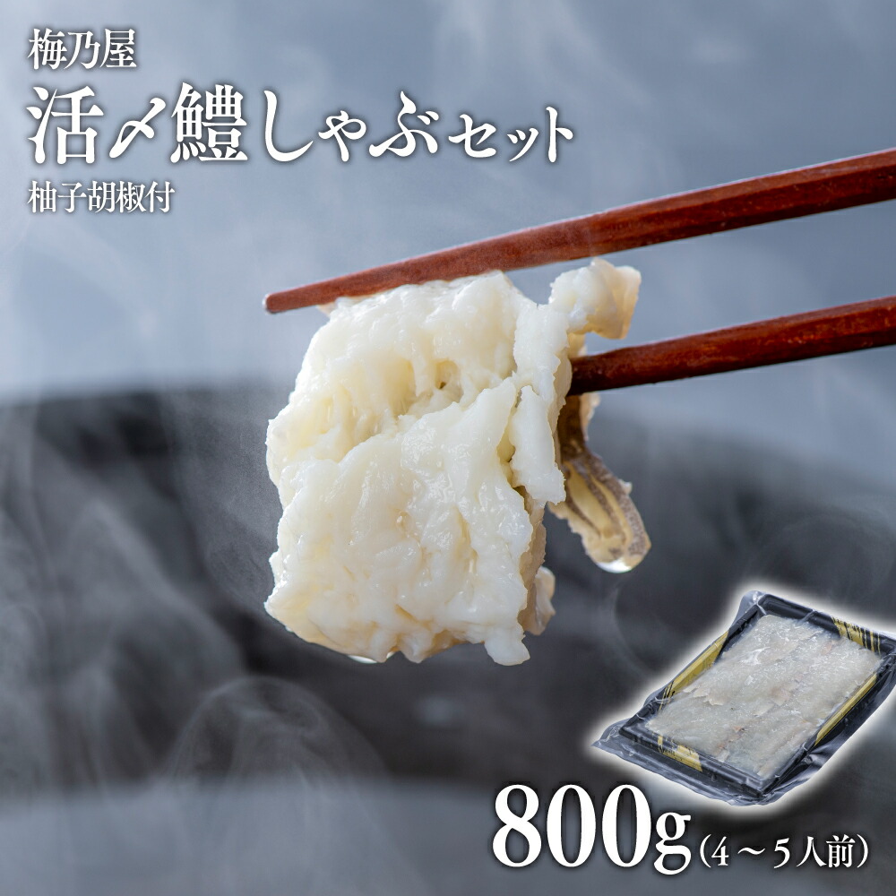 【ふるさと納税】活〆 鱧 しゃぶしゃぶ セット (800g 4~5人前) 魚 ハモ はも 海鮮 魚介 鍋 鱧しゃぶ 食品 送料無料